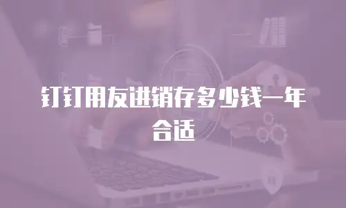 钉钉用友进销存多少钱一年合适