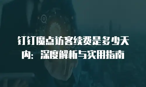 钉钉魔点访客续费是多少天内：深度解析与实用指南