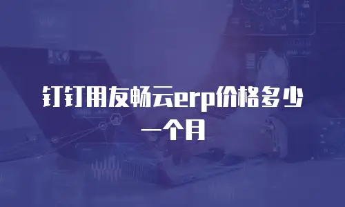 钉钉用友畅云erp价格多少一个月