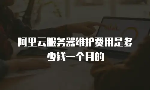 阿里云服务器维护费用是多少钱一个月的