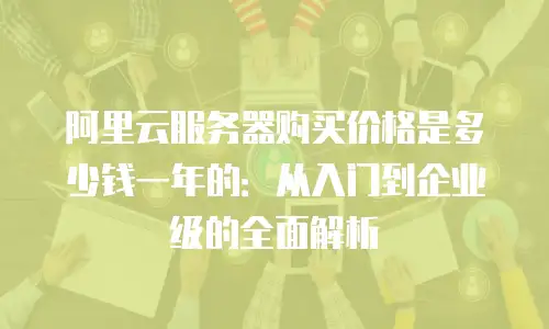 阿里云服务器购买价格是多少钱一年的：从入门到企业级的全面解析
