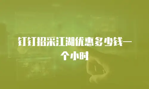 钉钉招采江湖优惠多少钱一个小时