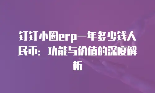 钉钉小圈erp一年多少钱人民币：功能与价值的深度解析