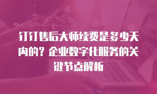 钉钉售后大师续费是多少天内的？企业数字化服务的关键节点解析