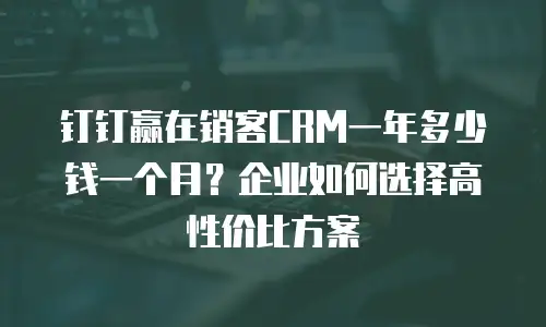 钉钉赢在销客CRM一年多少钱一个月？企业如何选择高性价比方案