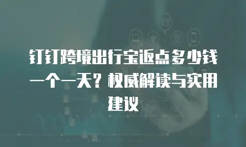 钉钉跨境出行宝返点多少钱一个一天？权威解读与实用建议