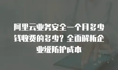 阿里云业务安全一个月多少钱收费的多少？全面解析企业级防护成本
