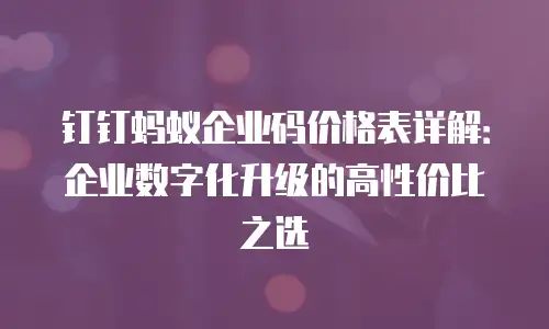 钉钉蚂蚁企业码价格表详解：企业数字化升级的高性价比之选