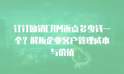 钉钉励销CRM返点多少钱一个？解析企业客户管理成本与价值