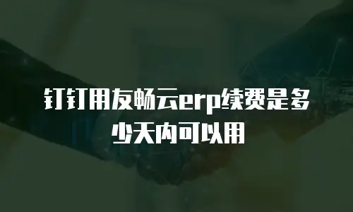 钉钉用友畅云erp续费是多少天内可以用