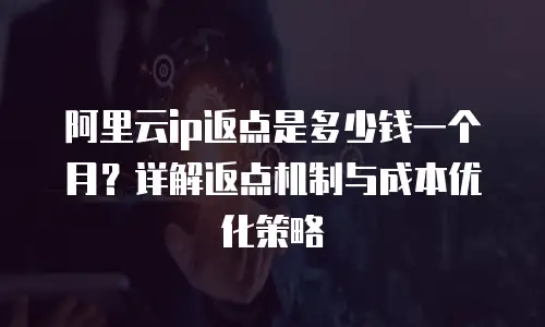 阿里云ip返点是多少钱一个月？详解返点机制与成本优化策略