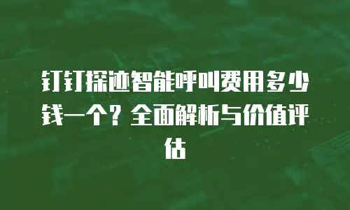 钉钉探迹智能呼叫费用多少钱一个？全面解析与价值评估