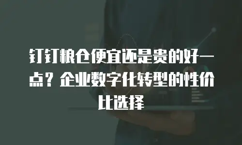 钉钉粮仓便宜还是贵的好一点？企业数字化转型的性价比选择