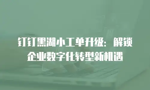 钉钉黑湖小工单升级：解锁企业数字化转型新机遇