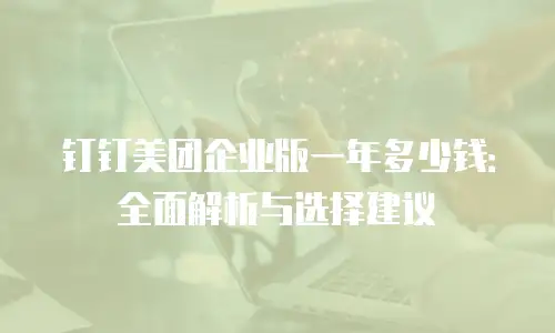 钉钉美团企业版一年多少钱：全面解析与选择建议