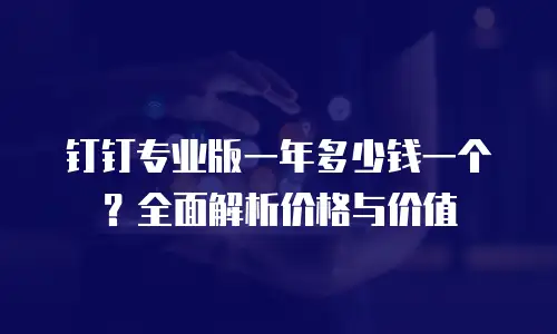 钉钉专业版一年多少钱一个？全面解析价格与价值