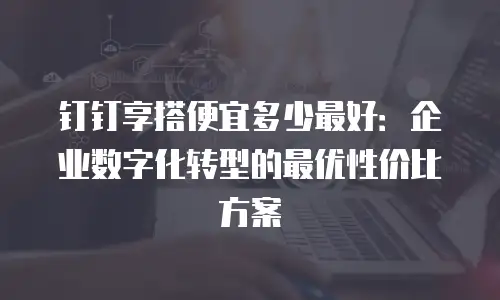 钉钉享搭便宜多少最好：企业数字化转型的最优性价比方案