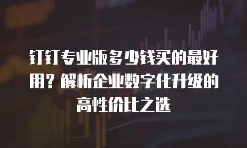 钉钉专业版多少钱买的最好用？解析企业数字化升级的高性价比之选
