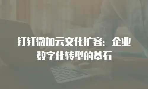 钉钉微加云文化扩容：企业数字化转型的基石