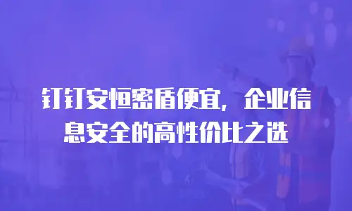 钉钉安恒密盾便宜，企业信息安全的高性价比之选