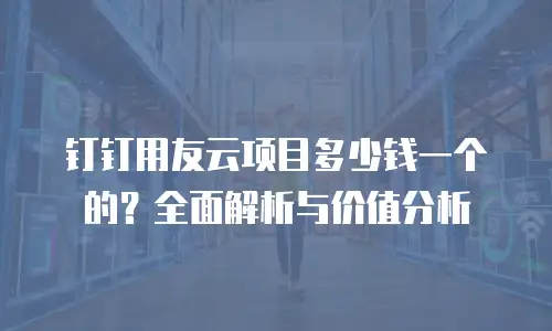 钉钉用友云项目多少钱一个的？全面解析与价值分析