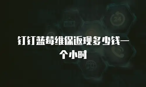 钉钉蓝莓维保返现多少钱一个小时