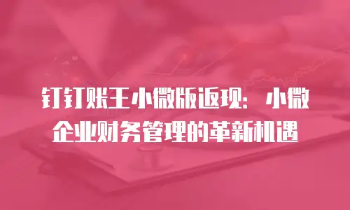 钉钉账王小微版返现：小微企业财务管理的革新机遇