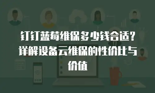 钉钉蓝莓维保多少钱合适？详解设备云维保的性价比与价值