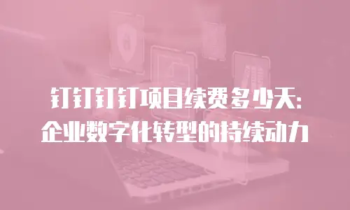 钉钉钉钉项目续费多少天：企业数字化转型的持续动力
