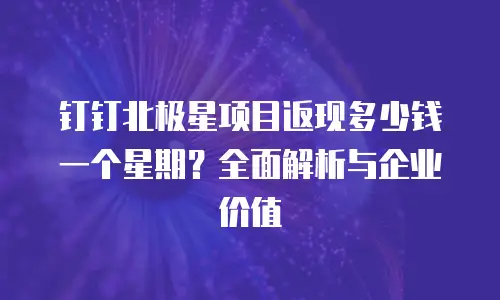 钉钉北极星项目返现多少钱一个星期？全面解析与企业价值
