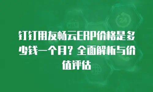 钉钉用友畅云ERP价格是多少钱一个月？全面解析与价值评估
