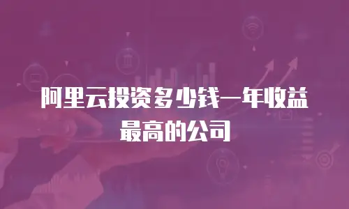 阿里云投资多少钱一年收益最高的公司
