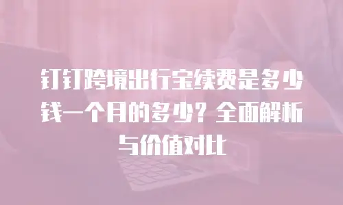 钉钉跨境出行宝续费是多少钱一个月的多少？全面解析与价值对比