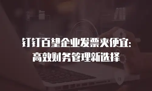 钉钉百望企业发票夹便宜：高效财务管理新选择