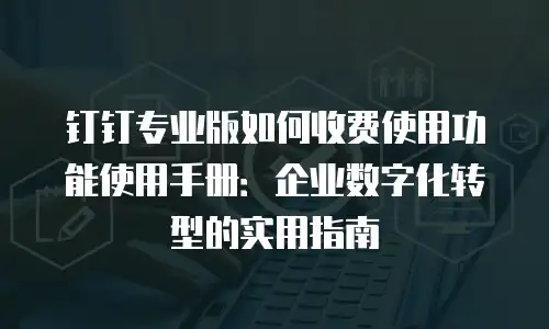 钉钉专业版如何收费使用功能使用手册：企业数字化转型的实用指南