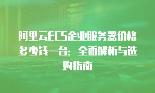 阿里云ECS企业服务器价格多少钱一台：全面解析与选购指南