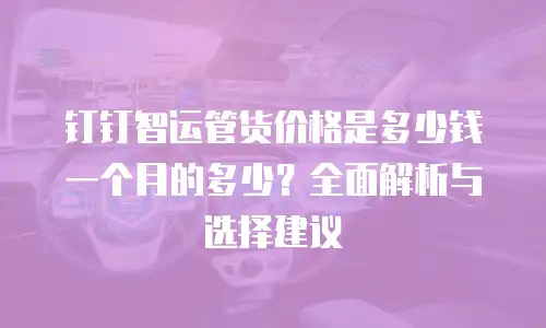 钉钉智运管货价格是多少钱一个月的多少？全面解析与选择建议